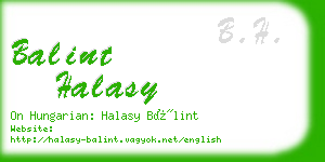 balint halasy business card